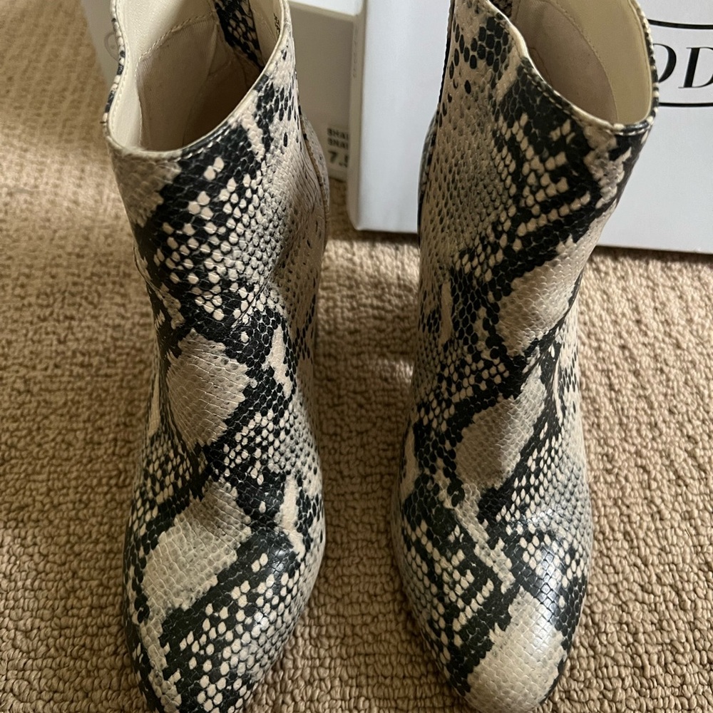 Shade Snake Steve Madden Boots